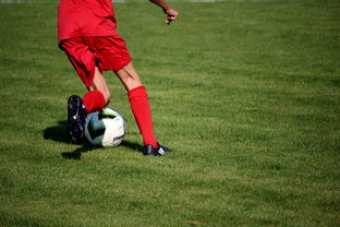 开云体育登录入口-篮球运动员心理韧性培养及心理干预体系建设，篮球运动员心理素质的重要性